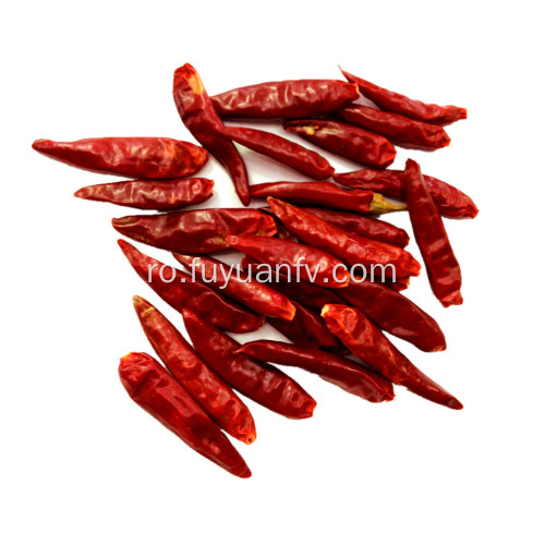 Bună calitate Hot Spicy uscate Chaotian Chili